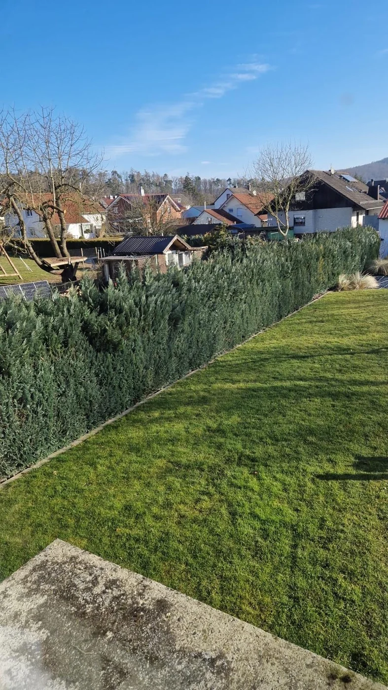 Frisch gemähter Rasen